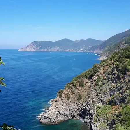La Ginestra *