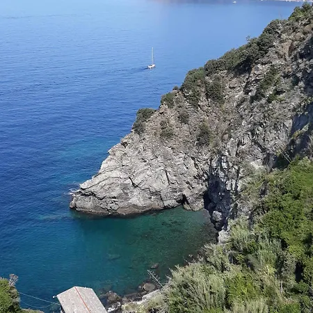 La Ginestra *