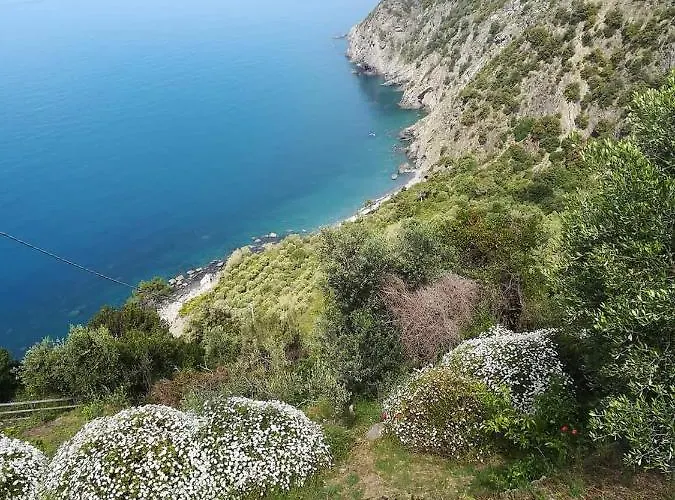 La Ginestra 3*